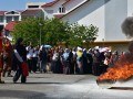 Tn DSC 0154